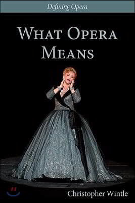 What Opera Means: Categories and Case-Studies