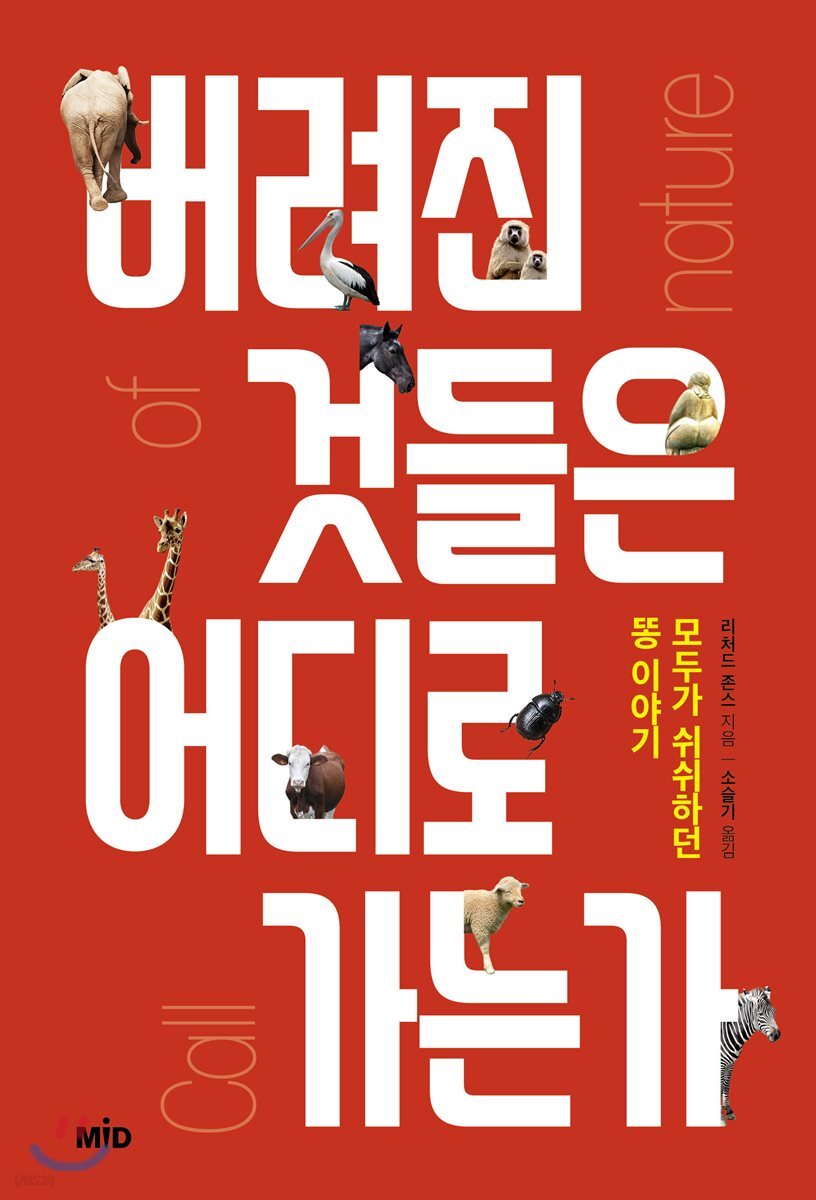 버려진 것들은 어디로 가는가