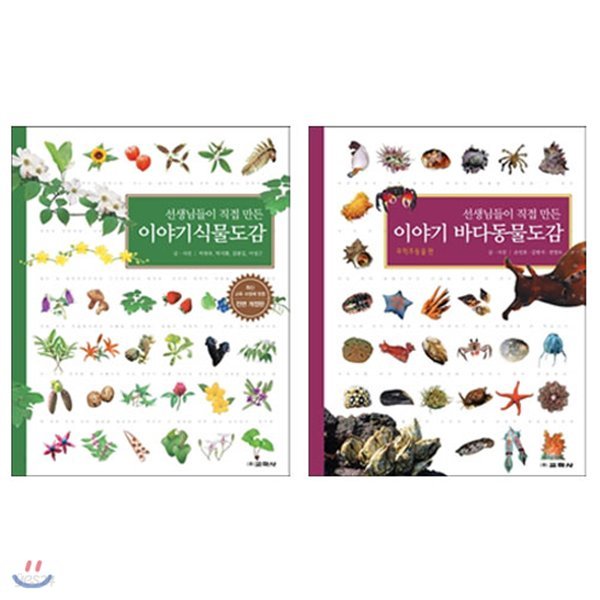 12색색연필증정/선생님들이 직접 만든 이야기 바다 동물도감+식물 도감 세트(전2권)