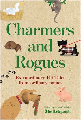 Charmers and Rogues