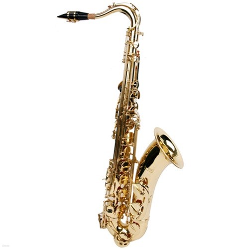 A-ONE/Tenor Saxophone ̿ ׳ /TS1103