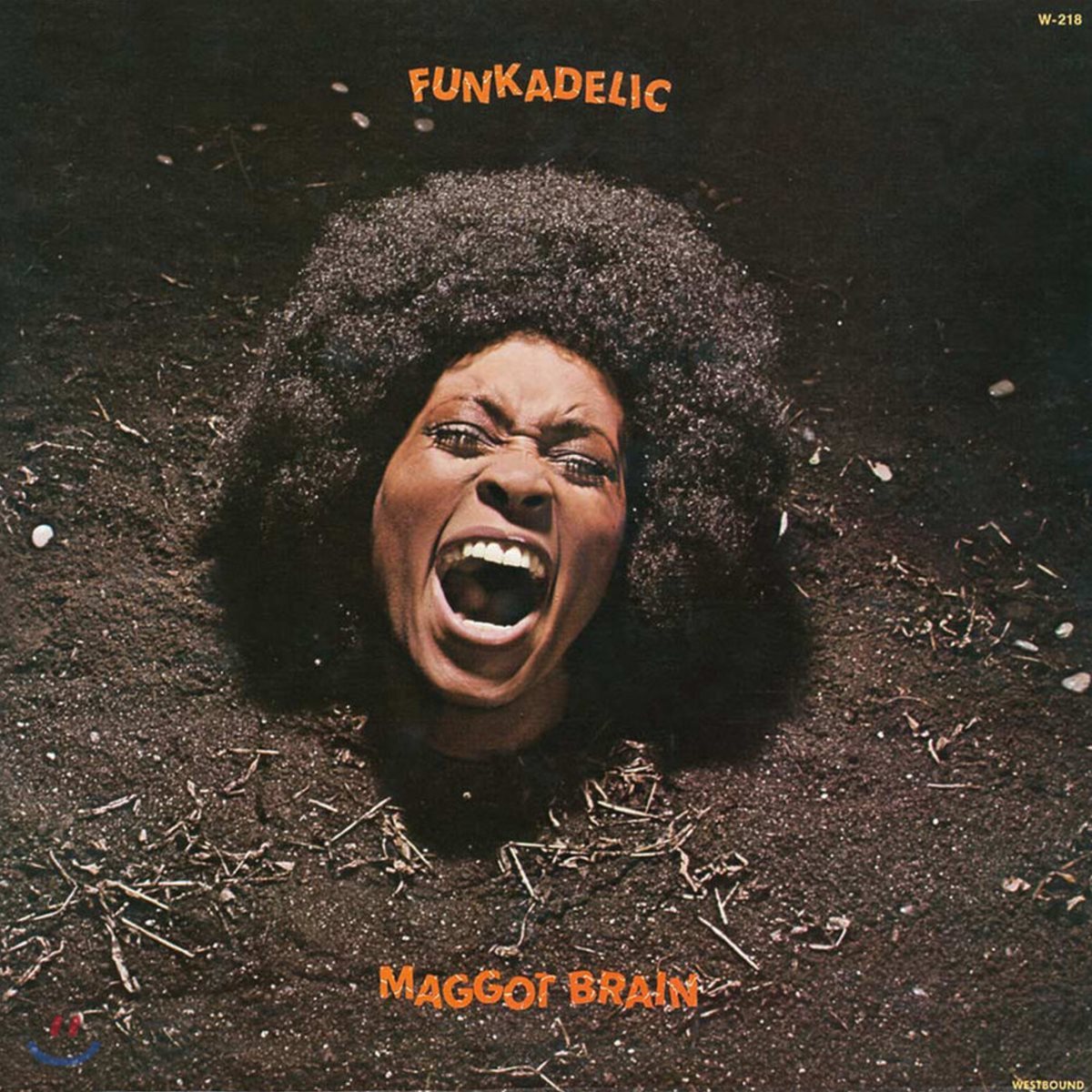Funkadelic (펑카델릭) - Maggot Brain [피치 믹스 컬러 LP]