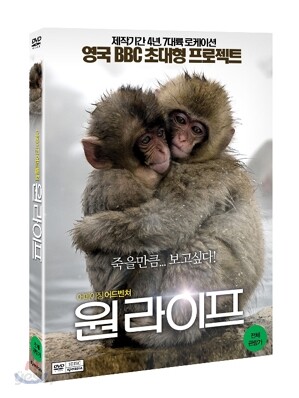 원라이프(1Disc)