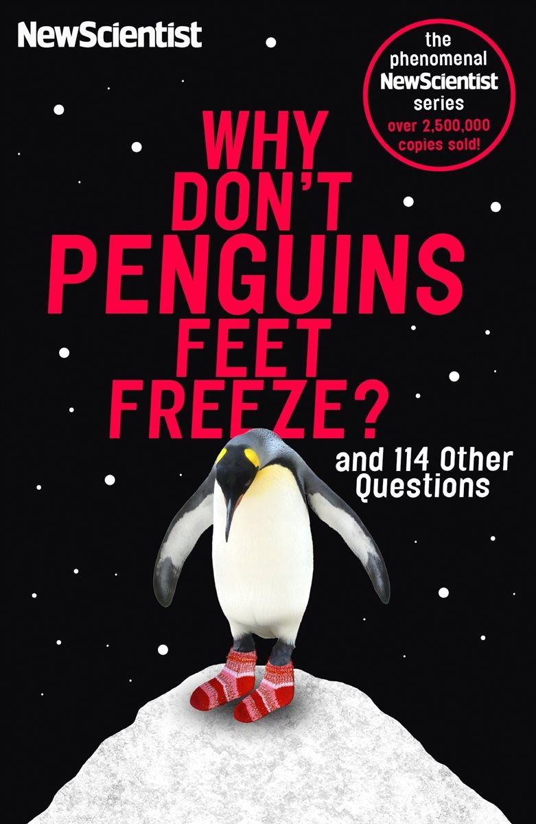 Why Don&#39;t Penguins&#39; Feet Freeze?