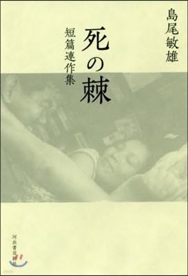 死の棘 短篇連作集