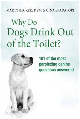 Why Do Dogs Drink Out Of The Toilet?