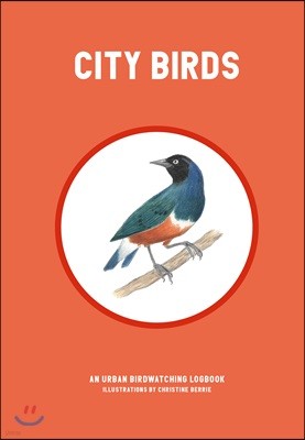 The City Birds