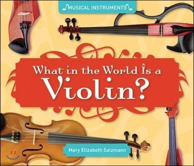 What in the World Is a Violin?