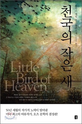 천국의 작은 새