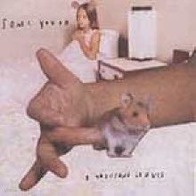 Sonic Youth - Thousand Leaves