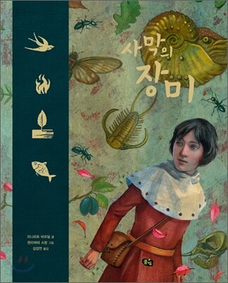 사막의 장미