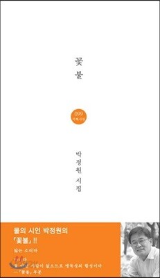 꽃불