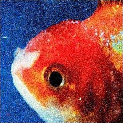 Vince Staples — Big Fish Theory 앨범 커버