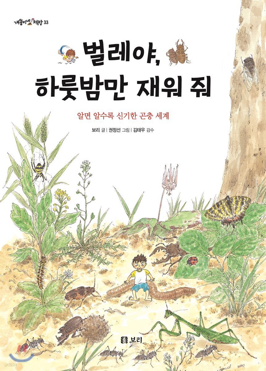 벌레야, 하룻밤만 재워줘