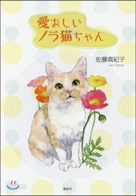 愛おしいノラ猫ちゃん