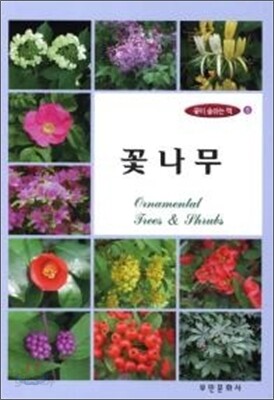 꽃나무