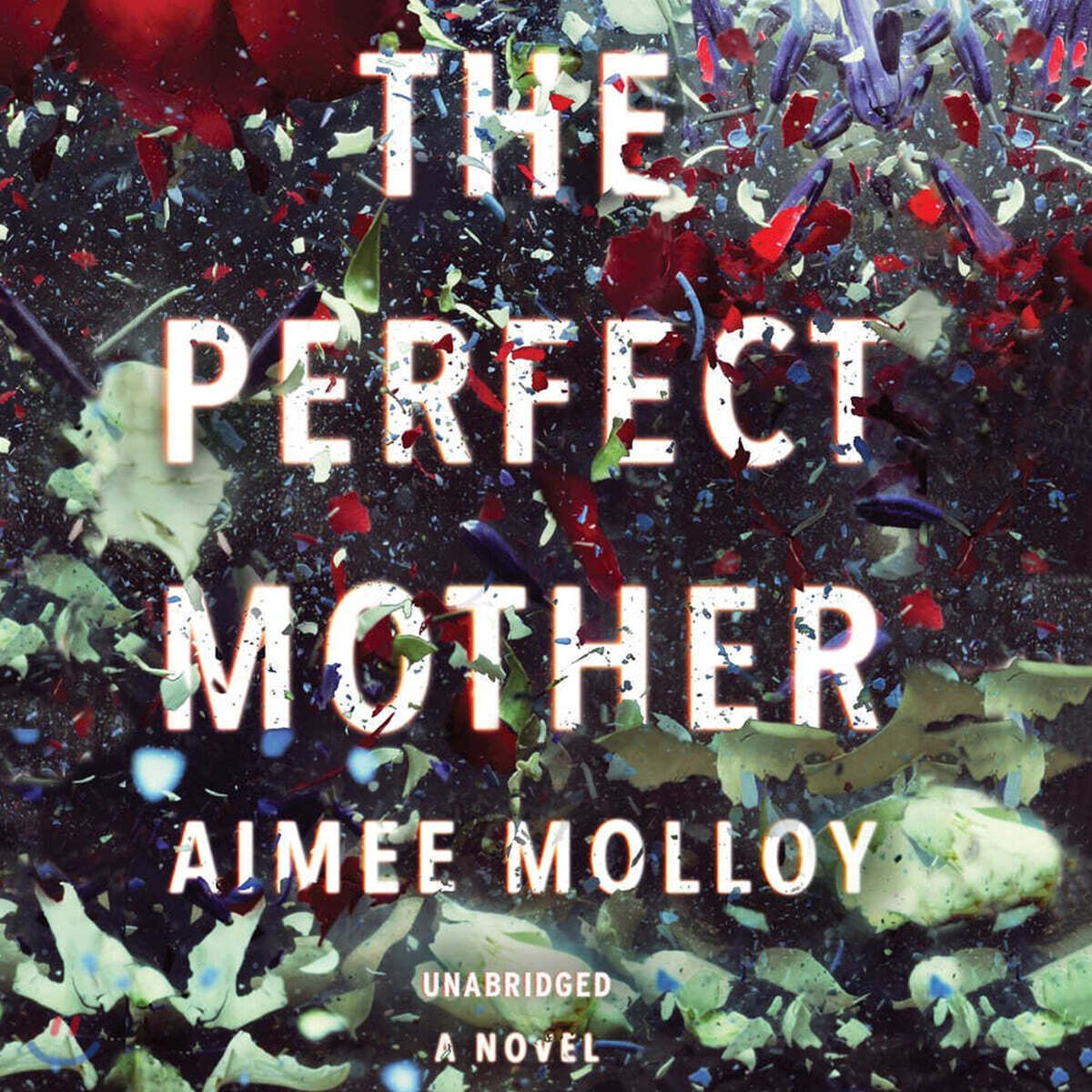 The Perfect Mother Lib/E