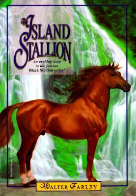 The Island Stallion