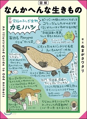 圖解 なんかへんな生きもの