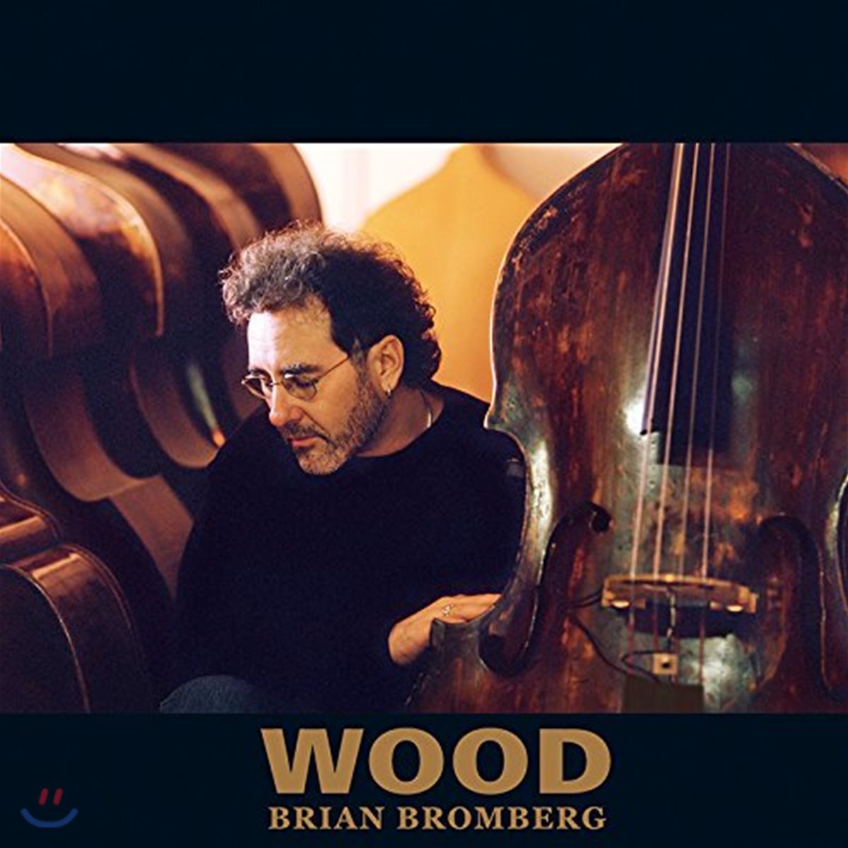 Brian Bromberg - Wood 브라이언 브롬버그 베이스 연주집 [2LP]