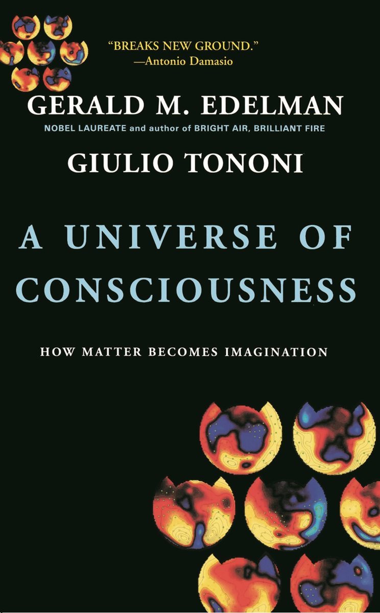 A Universe Of Consciousness How Matter Becomes Imagination