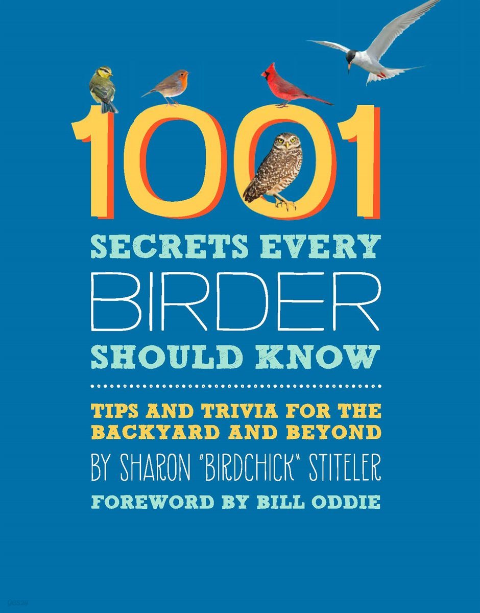 1001 Secrets Every Birder Should Know