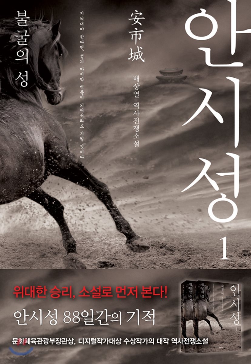 안시성 1