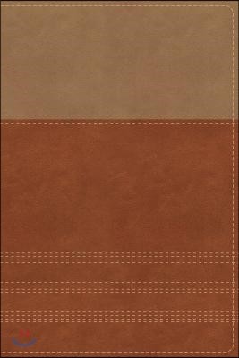 NIV, Biblical Theology Study Bible, Imitation Leather, Tan/Brown, Indexed, Comfort Print: Follow God's Redemptive Plan as It Unfolds Throughout Script