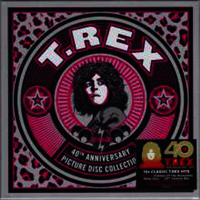 T. Rex — 40th Anniversary Picture Disc Collection 앨범 커버