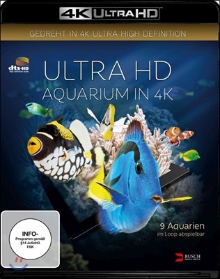 Ultra HD : Aquarium in 4K (뒤스부르크의 수족관의 해양 생물) [4K Blu-Ray]