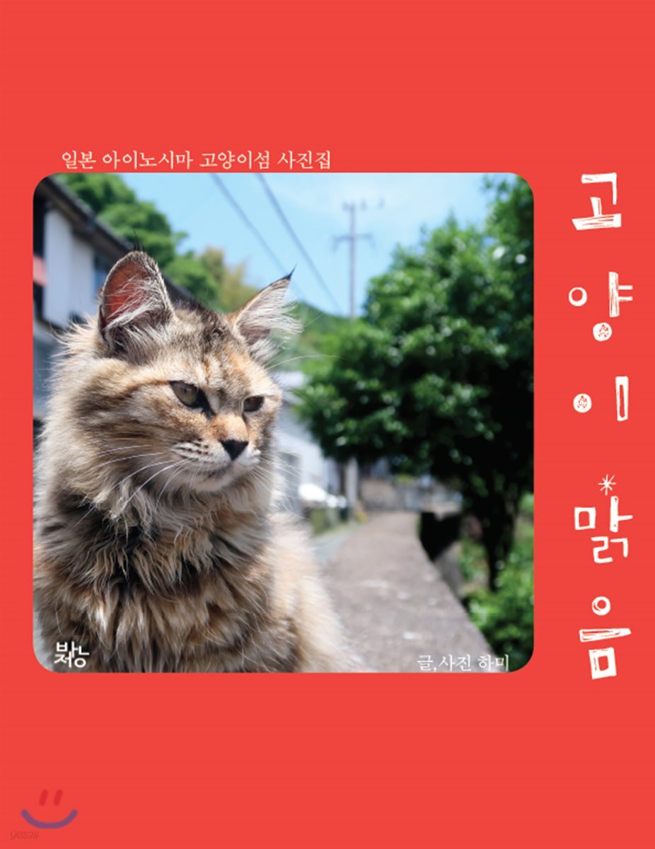 아이노시마 고양이섬 사진집 고양이 맑음