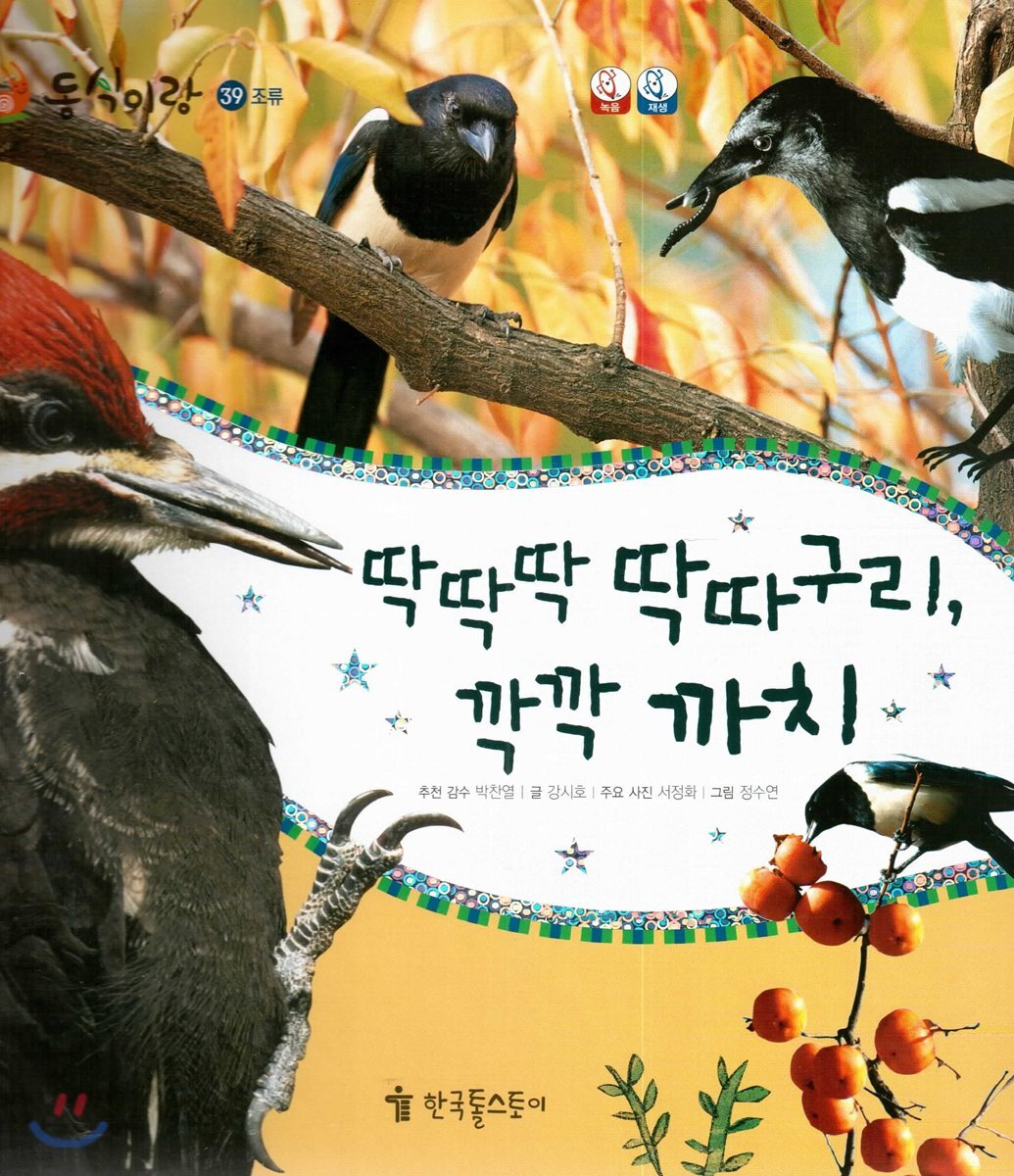 동식이랑 39 딱딱딱 딱따구리, 깍깍 까치