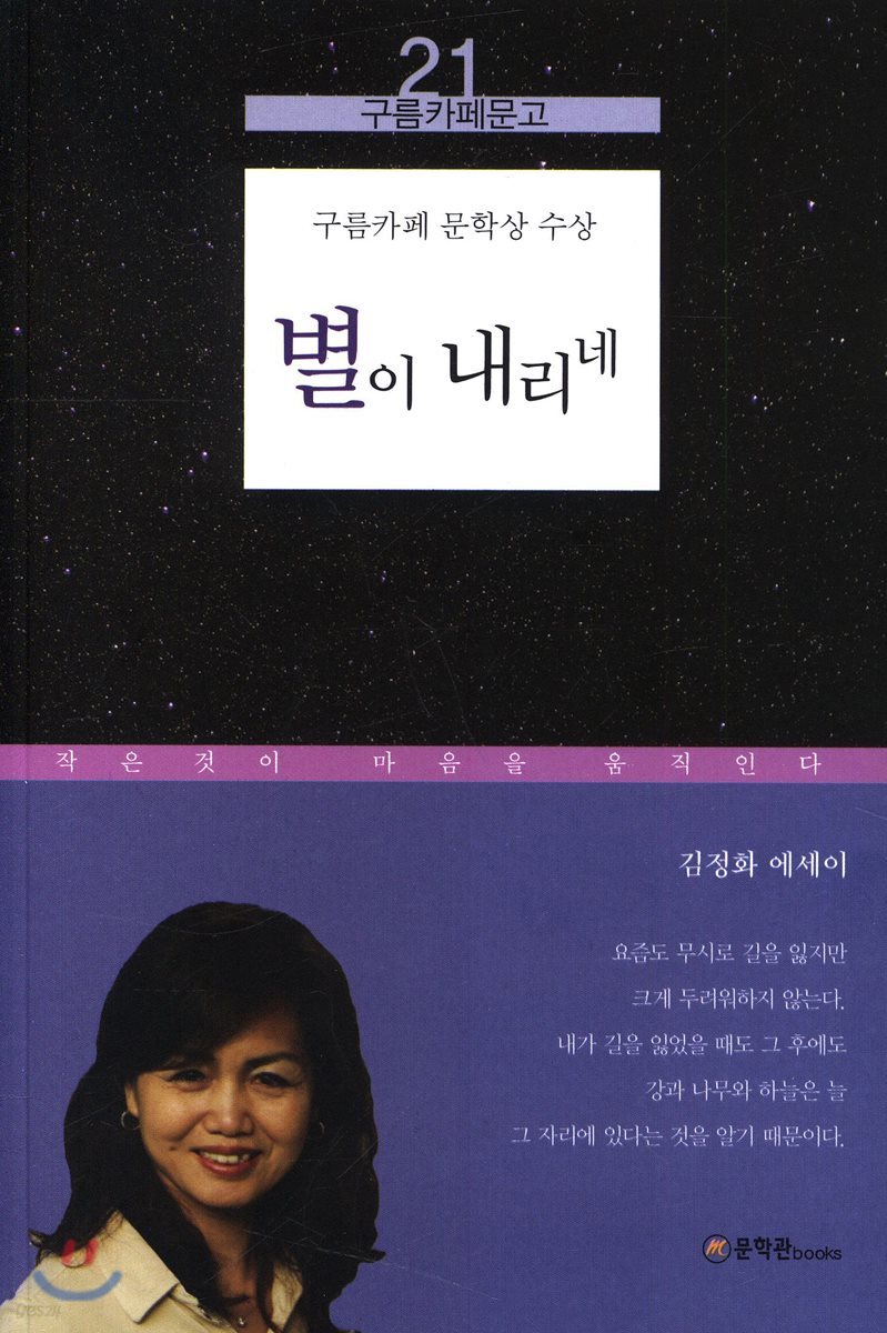 별이 내리네