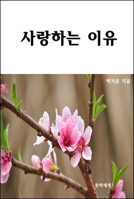 사랑하는 이유