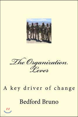 The Organization Lever: A key driver of change