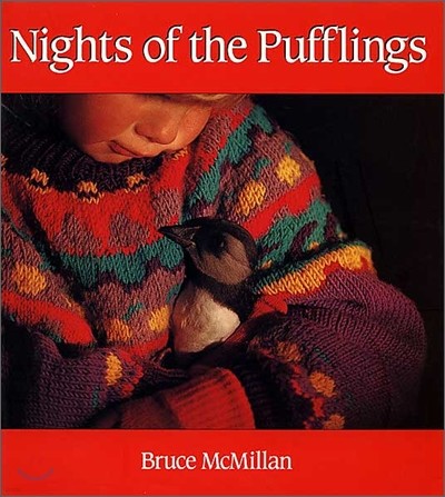 Nights of the Pufflings