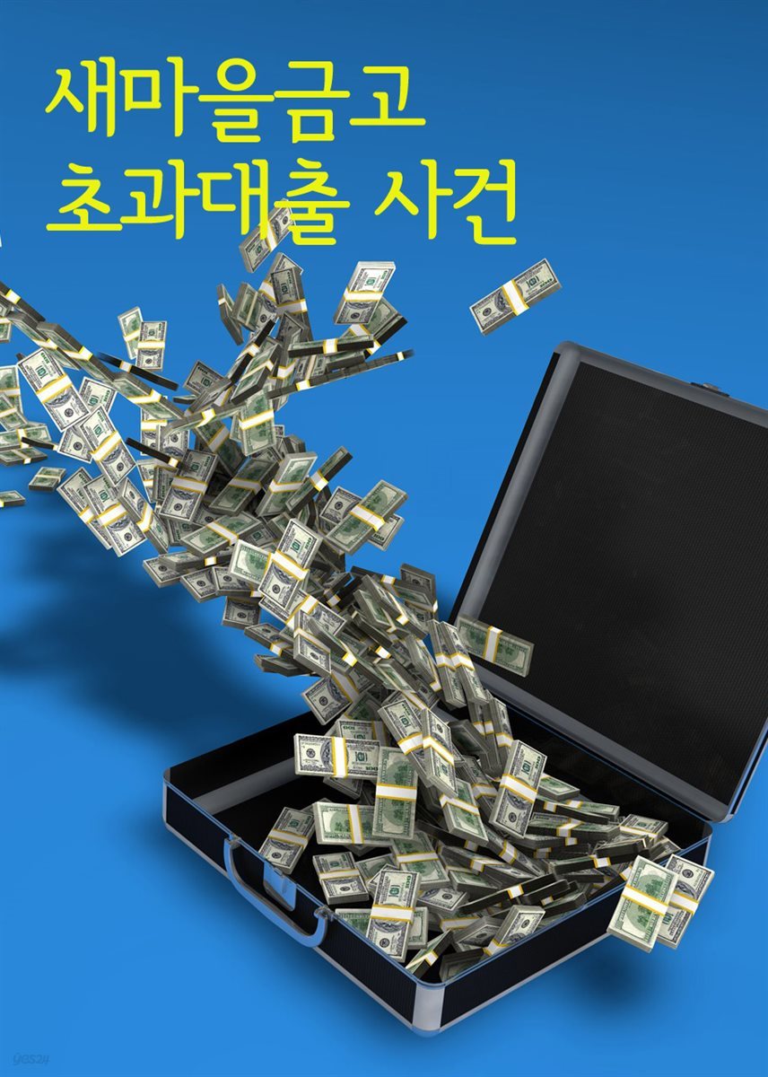 새마을금고 초과대출 사건 : 통째로 읽는 판결문