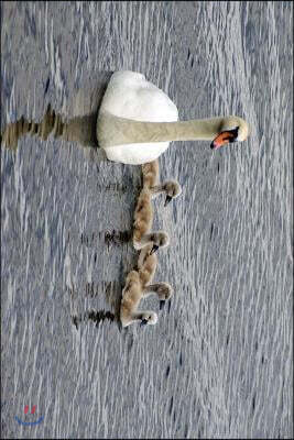 White Swan and her Chicks Journal: Take Notes, Write Down Memories in this 150 Page Lined Journal