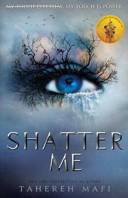 The Shatter Me