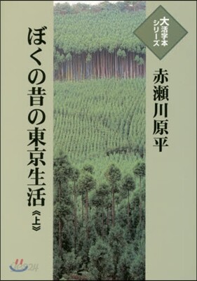 ぼくの昔の東京生活(上)