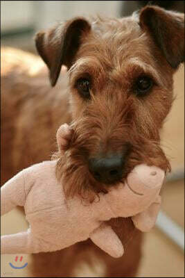 Irish Terrier Dog with His Toy Journal: Take Notes, Write Down Memories in This 150 Page Lined Journal