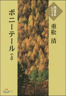 ポニ-テ-ル(上)
