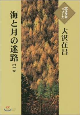 海と月の迷路(1)