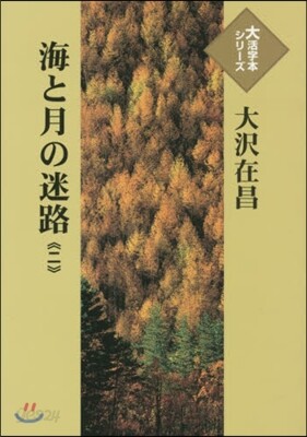 海と月の迷路(2)