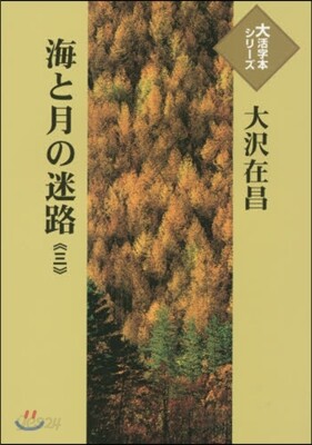 海と月の迷路(3)