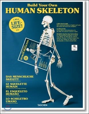 The Build Your Own Human Skeleton