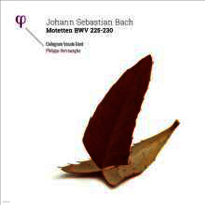 Philippe Herreweghe — 바흐: 모테트 (Bach: Motets, BWV225 - 230) - Philippe Herreweghe 앨범 커버