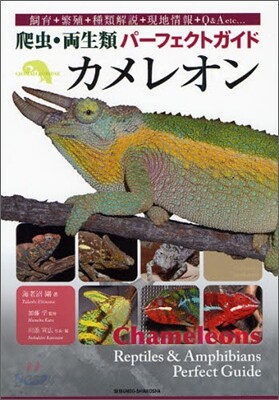 カメレオン