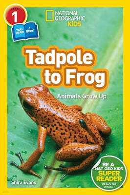National Geographic Readers: Tadpole to Frog (L1/Coreader)