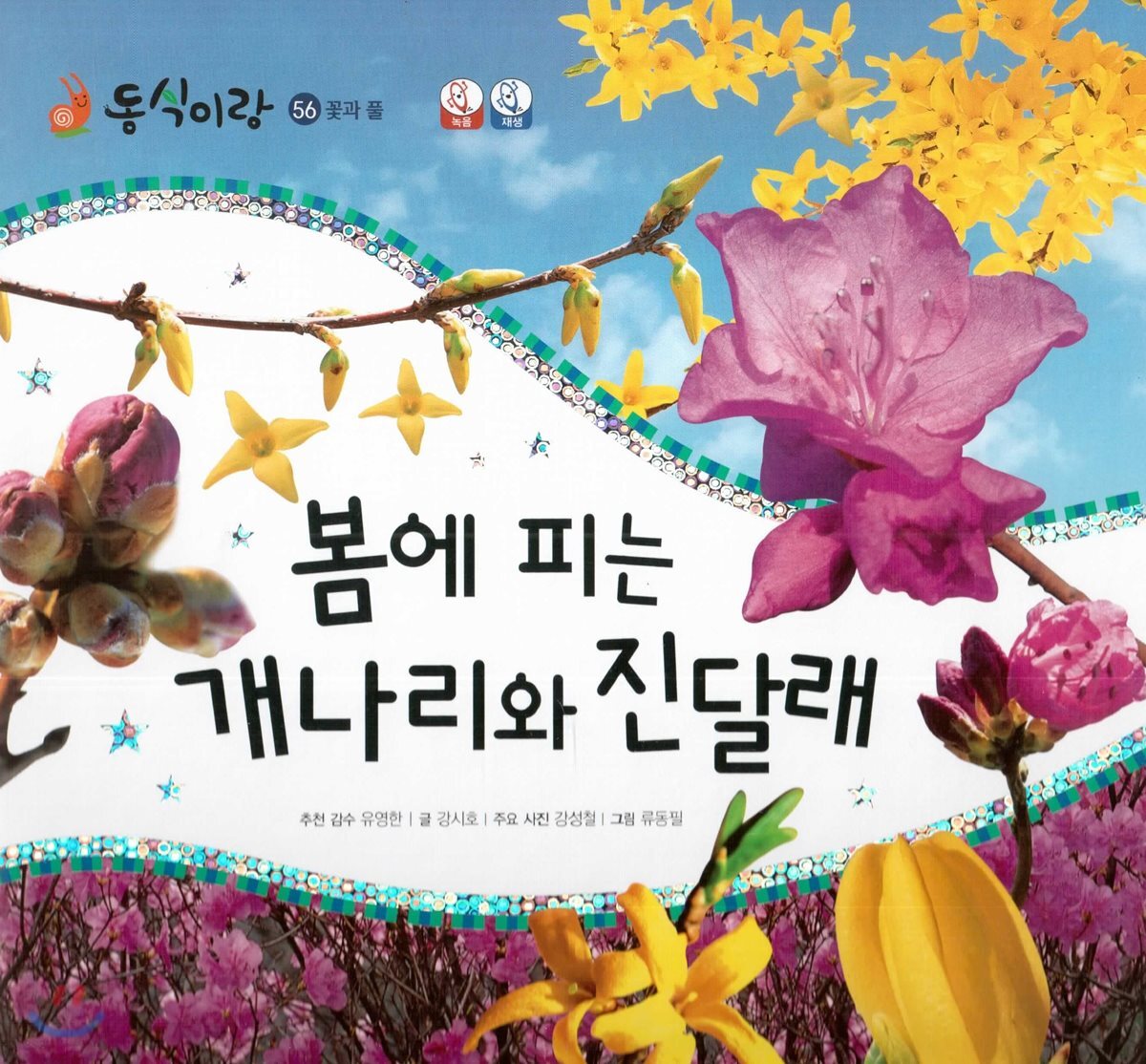 동식이랑 56 봄에 피는 개나리와 진달래